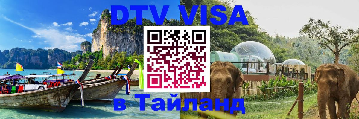 Сколько стоит DTV виза — актуальные цены, оформление даже без документов - Таганрог  03.10.2025 